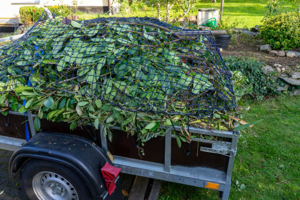Best Scrap Metal Removal  in Woodbury Heights, NJ